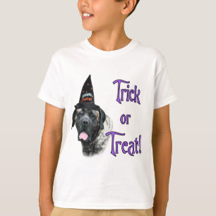 Mastiff (brindle) Trick T-Shirt