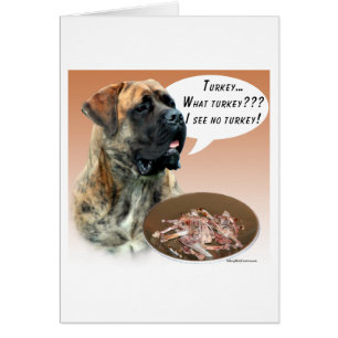 Mastiff (brindle) Turkey