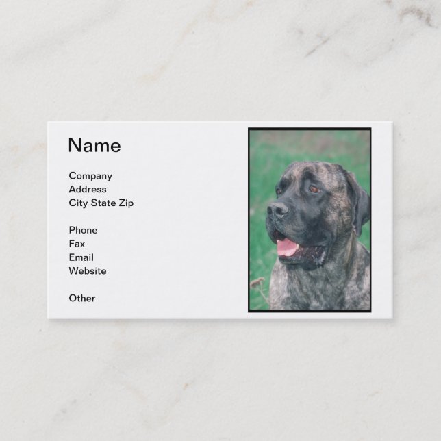 Mastiff Business Card (Front)