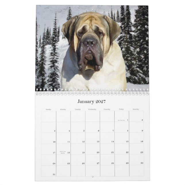 Mastiff Calendar (Jan 2027)