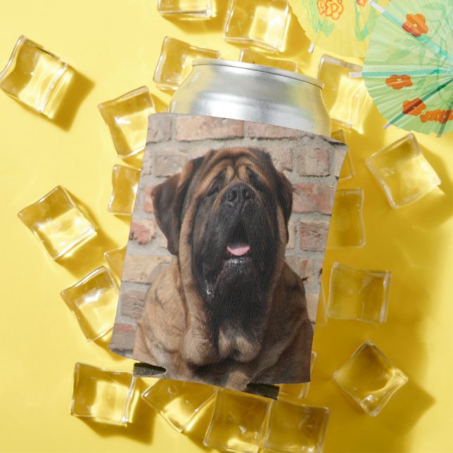 Mastiff Can Cooler (In Situ Summer)