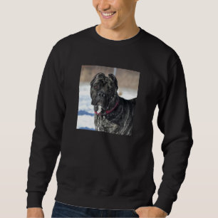 MASTIFF/CANE CORSO MEN'S SWEATSHIRT