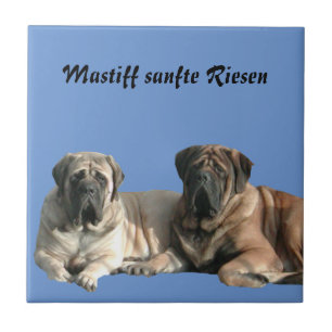 Mastiff ceramic tile