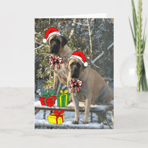 Mastiff Christmas Card