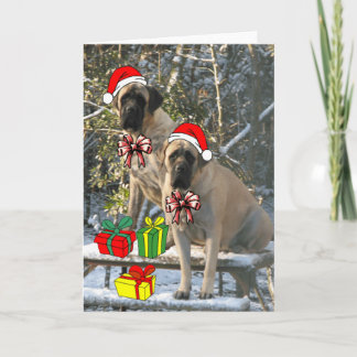 Mastiff Christmas Card