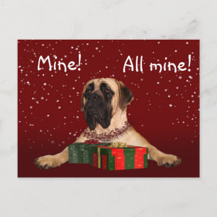 Mastiff Christmas Holiday Postcard