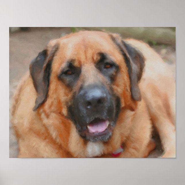 Mastiff Dog Art Photo Painting Poster (Front)