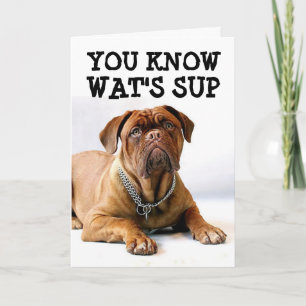 MASTIFF DOG BIRTHDAY FUNNY CARD