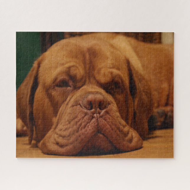 Mastiff Dog Breed. Jigsaw Puzzle (Horizontal)