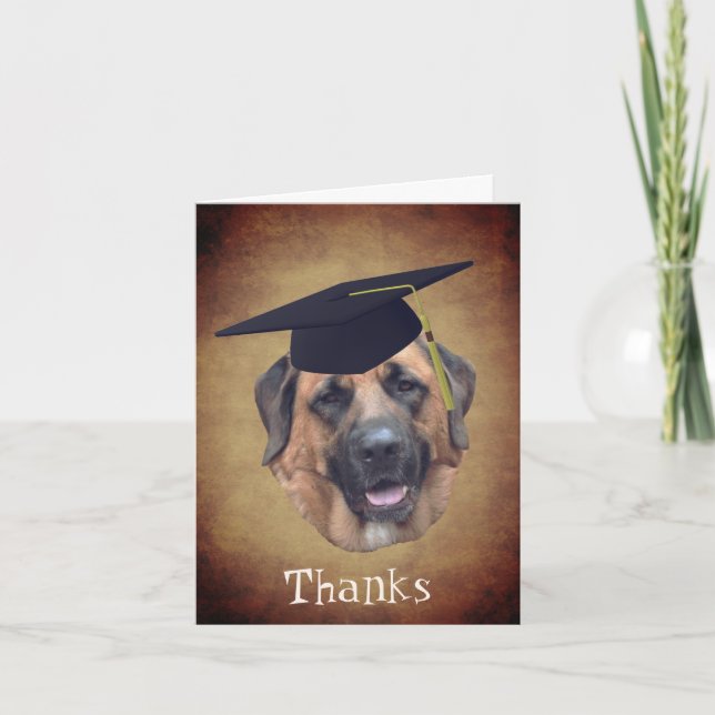 Mastiff Dog In Graduation Cap Thank You Card (Front)