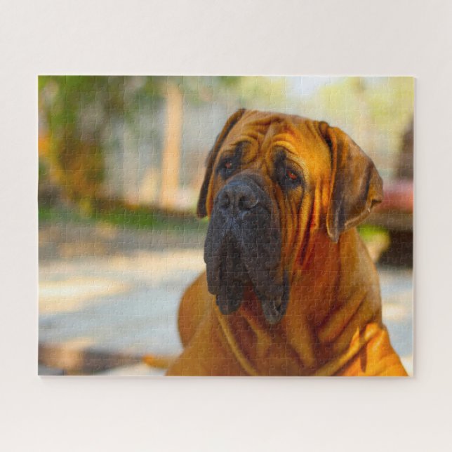 Mastiff Dog. Jigsaw Puzzle (Horizontal)