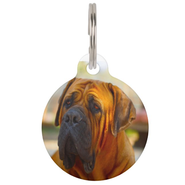 Mastiff Dog. Pet Tag (Front)