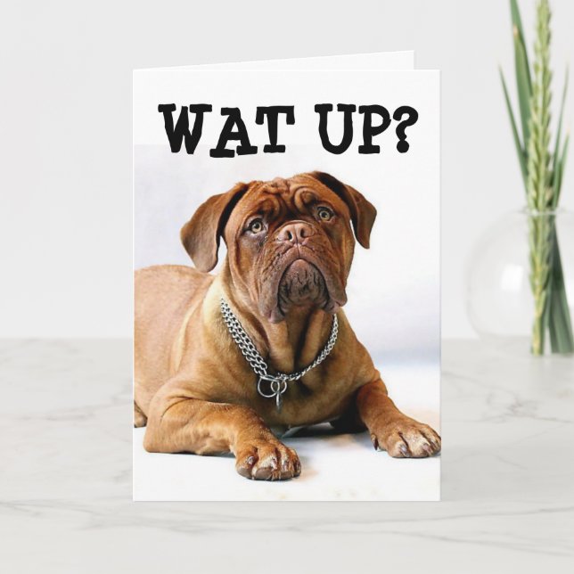 MASTIFF DOG THINKING OF YOU FUNNY CARD (Front)