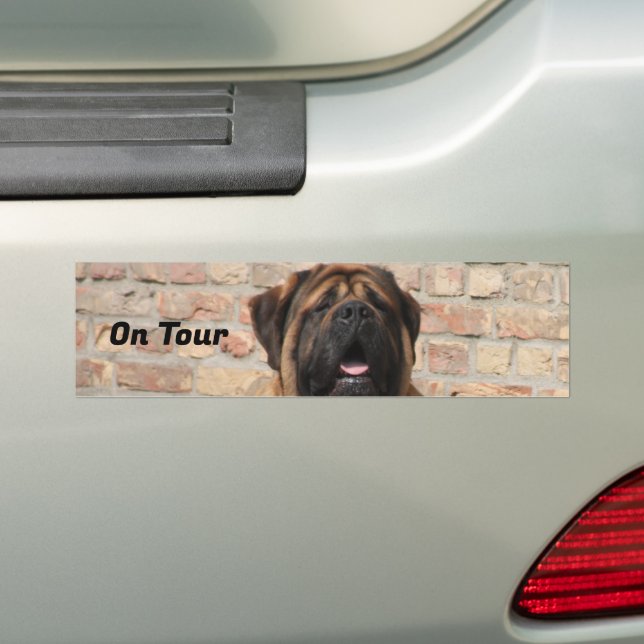 Mastiff English Mastiff Father's Day  Bumper Sticker (On Car)