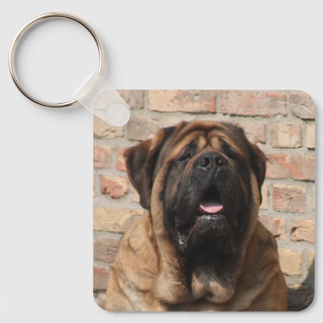 Mastiff English Mastiff Father's Day  Key Ring (Front)