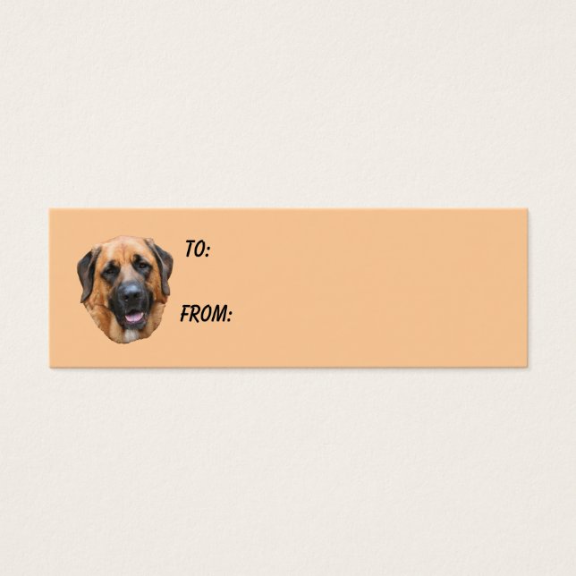 Mastiff Face Dog Photo Gift Tag (Front)