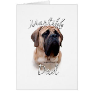 Mastiff (fawn) Dad 2