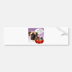 Mastiff (fawn) Halloween Candy Bumper Sticker