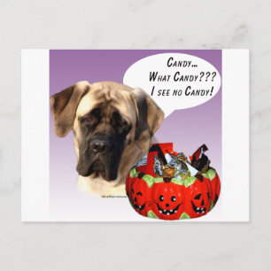 Mastiff (fawn) Halloween Candy Postcard