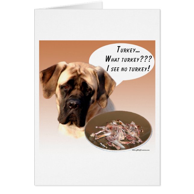 Mastiff (fawn) Turkey (Front)