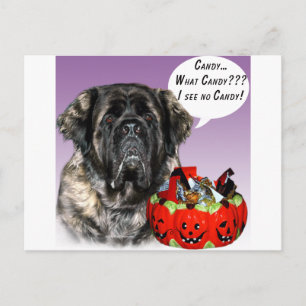 Mastiff (fluffy) Halloween Candy Postcard