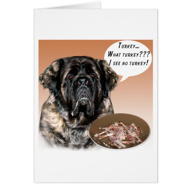 Mastiff (fluffy) Turkey (Front)