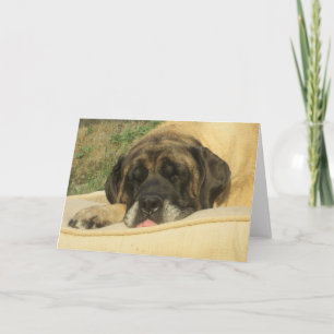 Mastiff Greeting Card