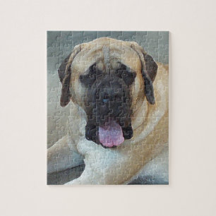Mastiff Jigsaw Puzzle