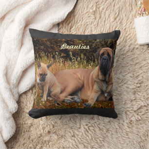 Mastiff mit französischer Bulldogge  Cushion