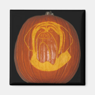 Mastiff Pumpkin Magnet