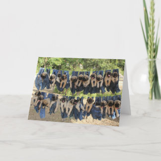 Mastiff puppy greeting card