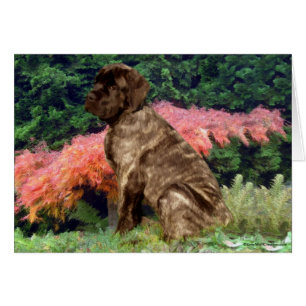 Mastiff puppy in shrubs