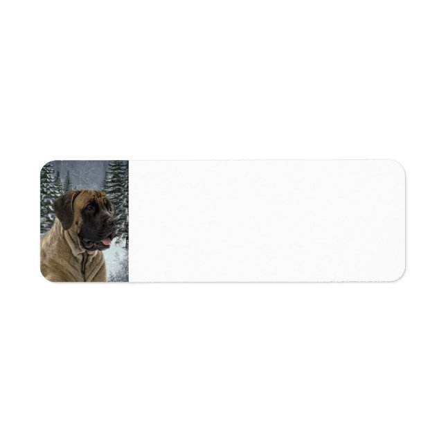 Mastiff Return Address Label (Front)