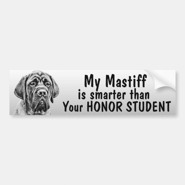 Mastiff smarter than your honour student - funny bumper sticker (Front)