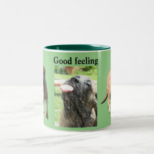Mastiff Tasse Good feeling Two-Tone Coffee Mug