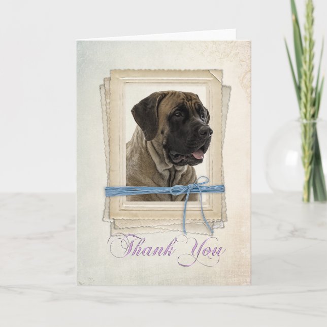 Mastiff Thank You Card (Front)
