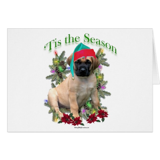 Mastiff ‘Tis (Front Horizontal)