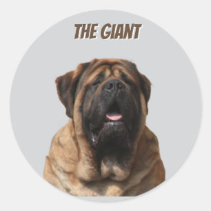 Mastiff Vacation English Mastiff Classic Round Sticker