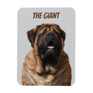 Mastiff Vacation English Mastiff Magnet