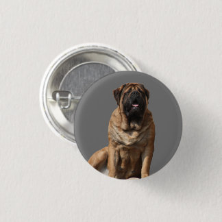 Mastiff Vatertag Best Friends  3 Cm Round Badge