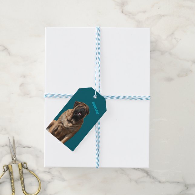 Mastiff Vatertag Best Friends  Gift Tags (With Twine)