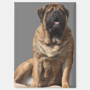 Mastiff Vatertag Best Friends  Magnet