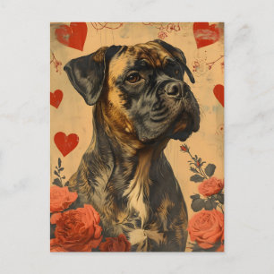 Mastiff Vintage Valentine's Day Postcard