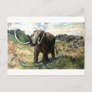 mastodon-1 postcard