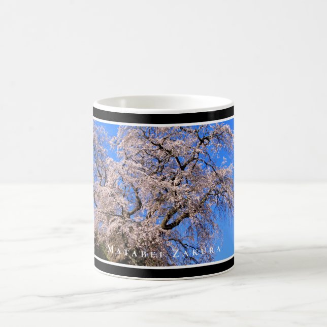Matabei-Zakura Weeping Cherry Tree Coffee Mug (Center)