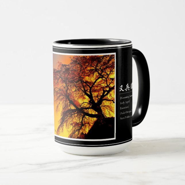 Matabei-Zakura Weeping Cherry Tree Mug (Front Right)