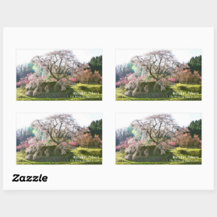 Matabei-Zakura Weeping Cherry Tree Rectangular Sticker