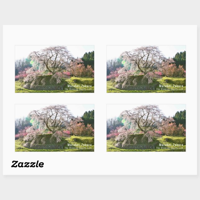 Matabei-Zakura Weeping Cherry Tree Rectangular Sticker (Sheet)