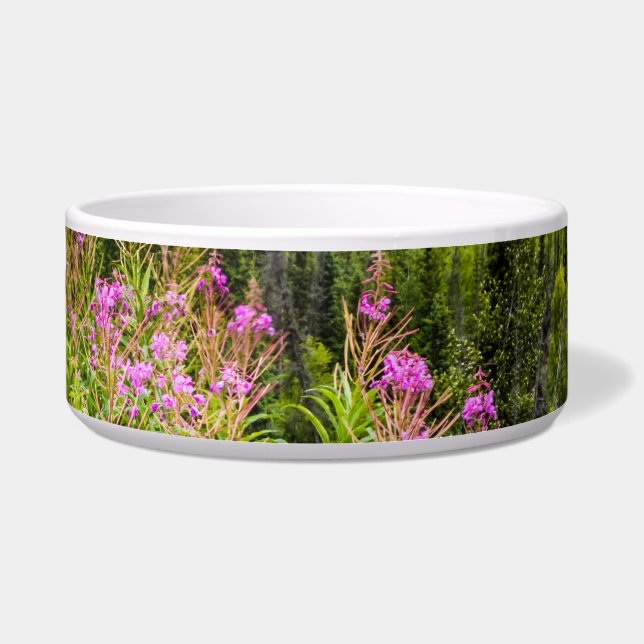 Matanuska Valley, Southcentral Alaska (Front)