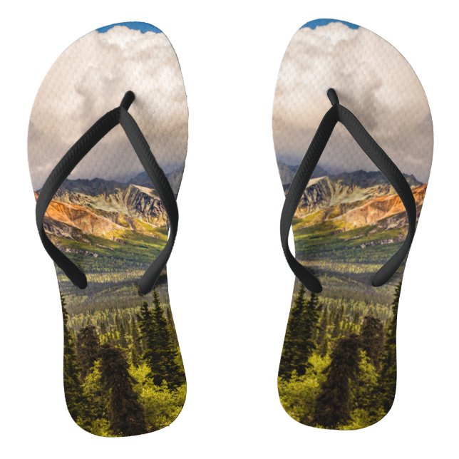 Matanuska valley, southcentral Alaska #2 Thongs (Footbed)